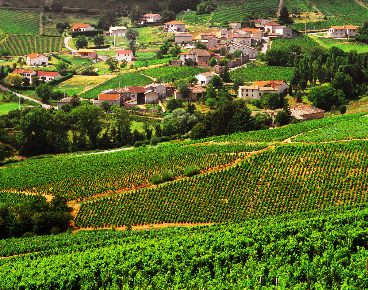 beaujolais